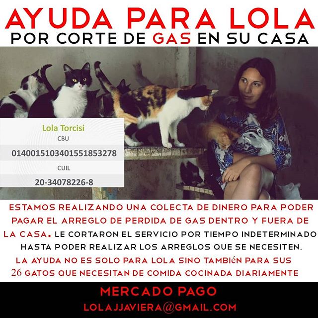 Volante con información sobre la colecta de dinero por corte de gas en la casa de Lola Torcisi. Se ven los datos de contacto, y en el centro una foto con diez de sus gatos